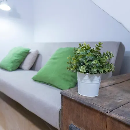 Loft In Historical Center *